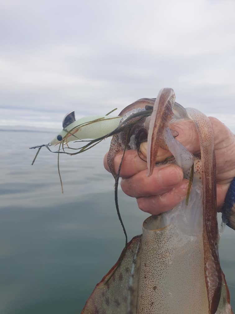 The Ultimate Guide to Squid Fishing in Victoria